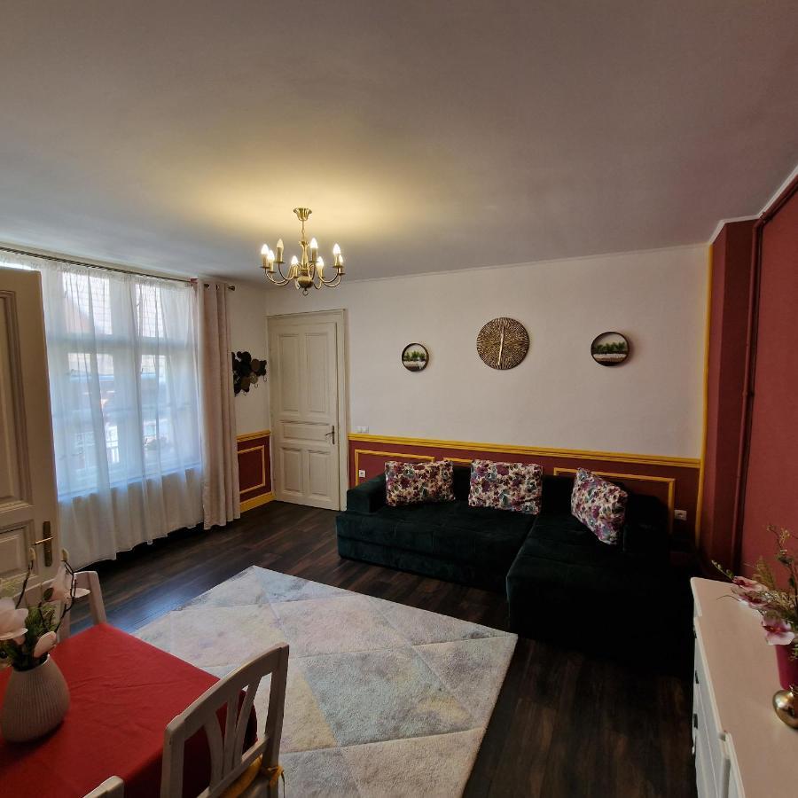 Central Park Apartment Sighişoara Eksteriør bilde